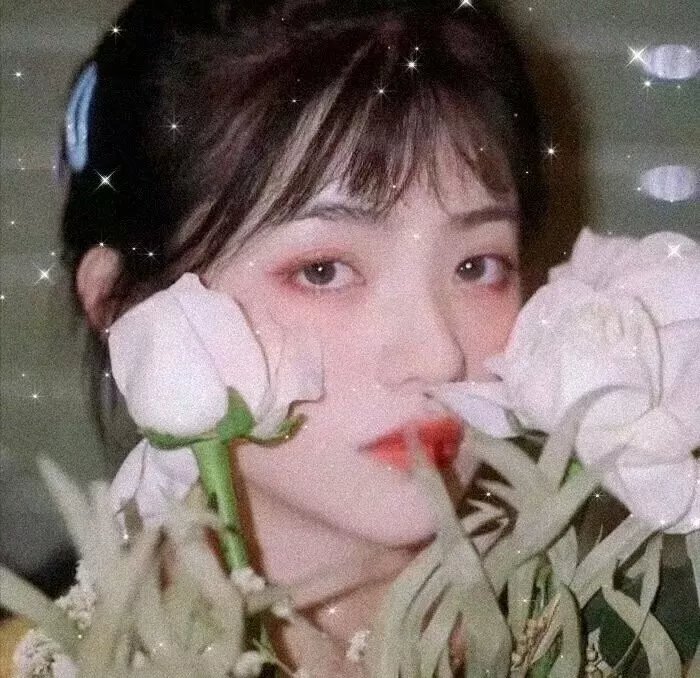 贝拉的魔法